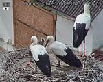 Capi_Dubne_20250801_155003.jpg
