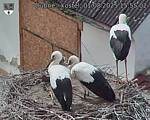 Capi_Dubne_20250801_155502.jpg