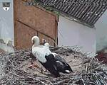 Capi_Dubne_20250801_160004.jpg