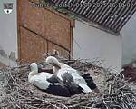 Capi_Dubne_20250801_161002.jpg