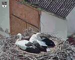 Capi_Dubne_20250801_161504.jpg