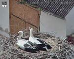 Capi_Dubne_20250801_162003.jpg