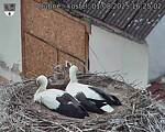 Capi_Dubne_20250801_162502.jpg