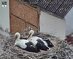 Capi_Dubne_20250801_163004.jpg