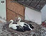 Capi_Dubne_20250801_163504.jpg