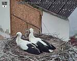 Capi_Dubne_20250801_164002.jpg