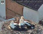 Capi_Dubne_20250801_185003.jpg