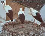 Capi_Dubne_20250801_202502.jpg