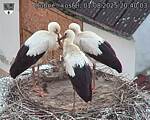 Capi_Dubne_20250801_204003.jpg