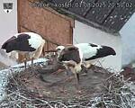 Capi_Dubne_20250801_205002.jpg
