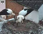 Capi_Dubne_20250801_205503.jpg