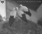 Capi_Dubne_20250801_211502.jpg