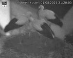 Capi_Dubne_20250801_212003.jpg