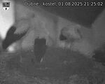 Capi_Dubne_20250801_212502.jpg