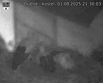 Capi_Dubne_20250801_213003.jpg