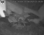 Capi_Dubne_20250801_213503.jpg
