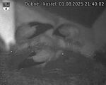 Capi_Dubne_20250801_214002.jpg