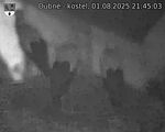 Capi_Dubne_20250801_214503.jpg