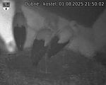 Capi_Dubne_20250801_215002.jpg