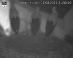 Capi_Dubne_20250801_215503.jpg