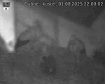 Capi_Dubne_20250801_220002.jpg