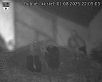 Capi_Dubne_20250801_220503.jpg