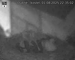 Capi_Dubne_20250801_223502.jpg