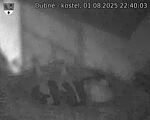 Capi_Dubne_20250801_224003.jpg