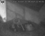 Capi_Dubne_20250801_224502.jpg