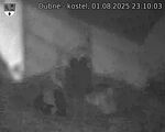 Capi_Dubne_20250801_231003.jpg
