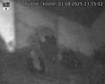 Capi_Dubne_20250801_231502.jpg