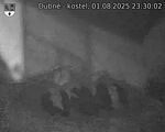 Capi_Dubne_20250801_233002.jpg