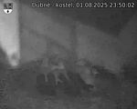 Capi_Dubne_20250801_235002.jpg