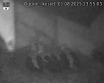 Capi_Dubne_20250801_235503.jpg