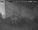 Capi_Dubne_20250802_002002.jpg