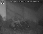 Capi_Dubne_20250802_003002.jpg