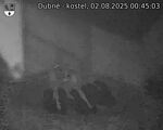 Capi_Dubne_20250802_004503.jpg