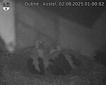 Capi_Dubne_20250802_010002.jpg