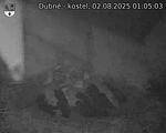 Capi_Dubne_20250802_010503.jpg