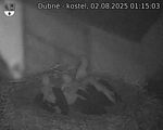 Capi_Dubne_20250802_011503.jpg