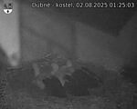 Capi_Dubne_20250802_012503.jpg
