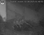 Capi_Dubne_20250802_014002.jpg