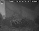 Capi_Dubne_20250802_015002.jpg