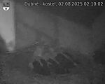 Capi_Dubne_20250802_021003.jpg