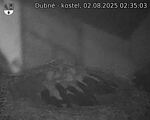 Capi_Dubne_20250802_023503.jpg