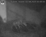Capi_Dubne_20250802_030503.jpg