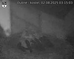 Capi_Dubne_20250802_031503.jpg
