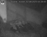 Capi_Dubne_20250802_032003.jpg