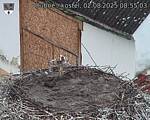 Capi_Dubne_20250802_085503.jpg