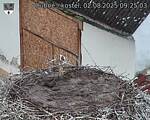 Capi_Dubne_20250802_092503.jpg